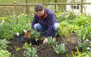 Pulling weeds